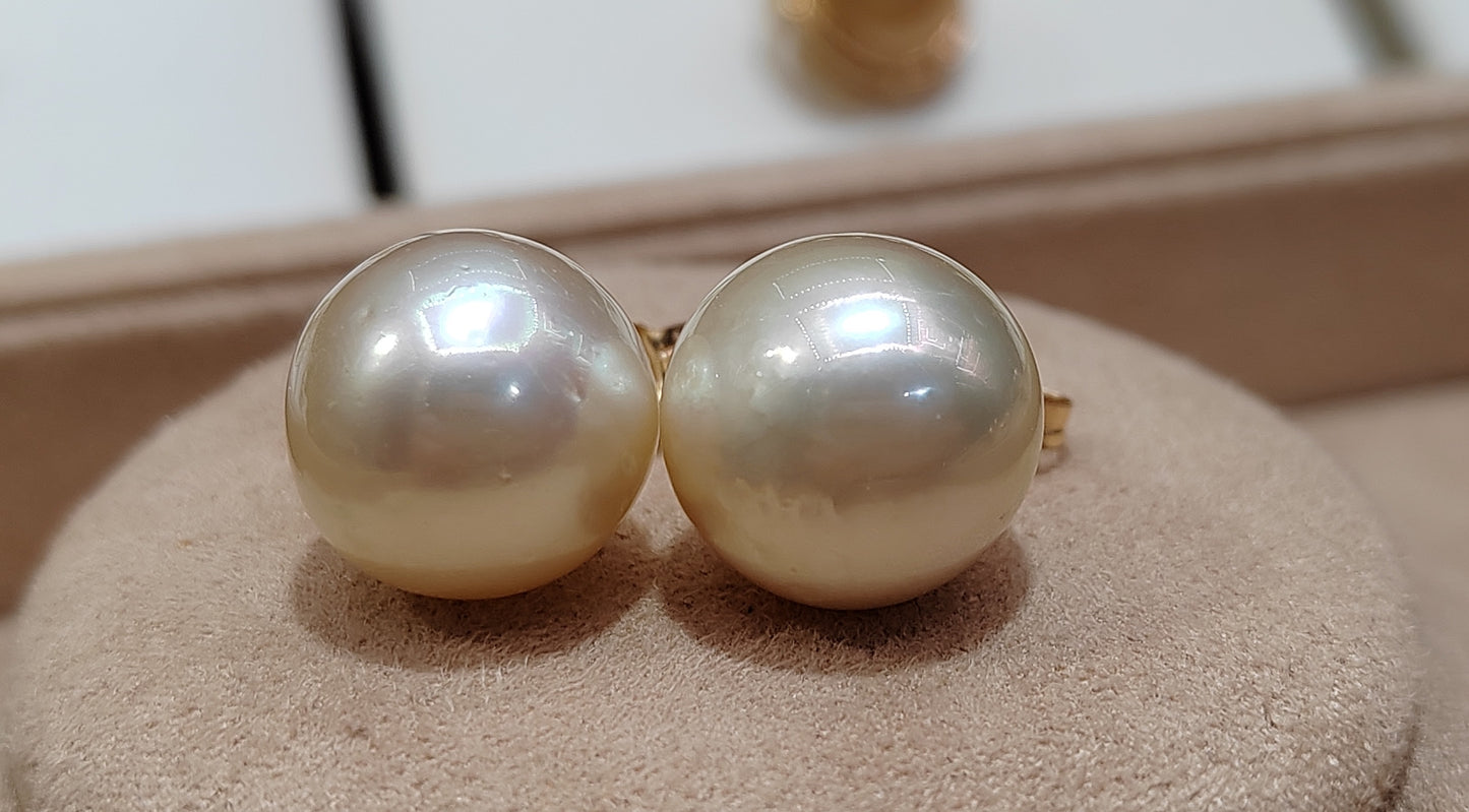 Clearance 12.5mm Genuine south sea pearls classic 14ct gold earrings studs