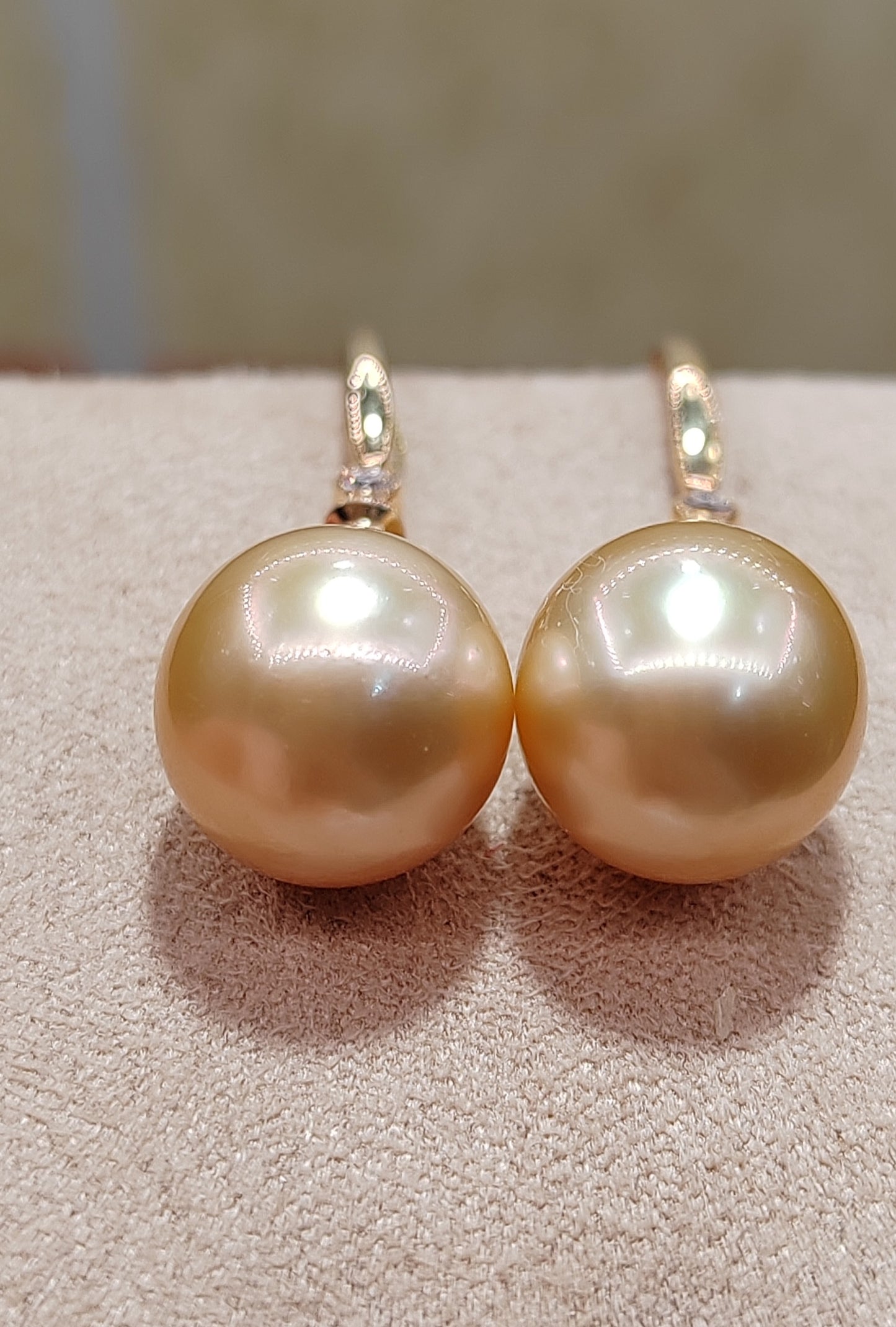 14K gold 10.1mm genuine south sea golden pearls earrings