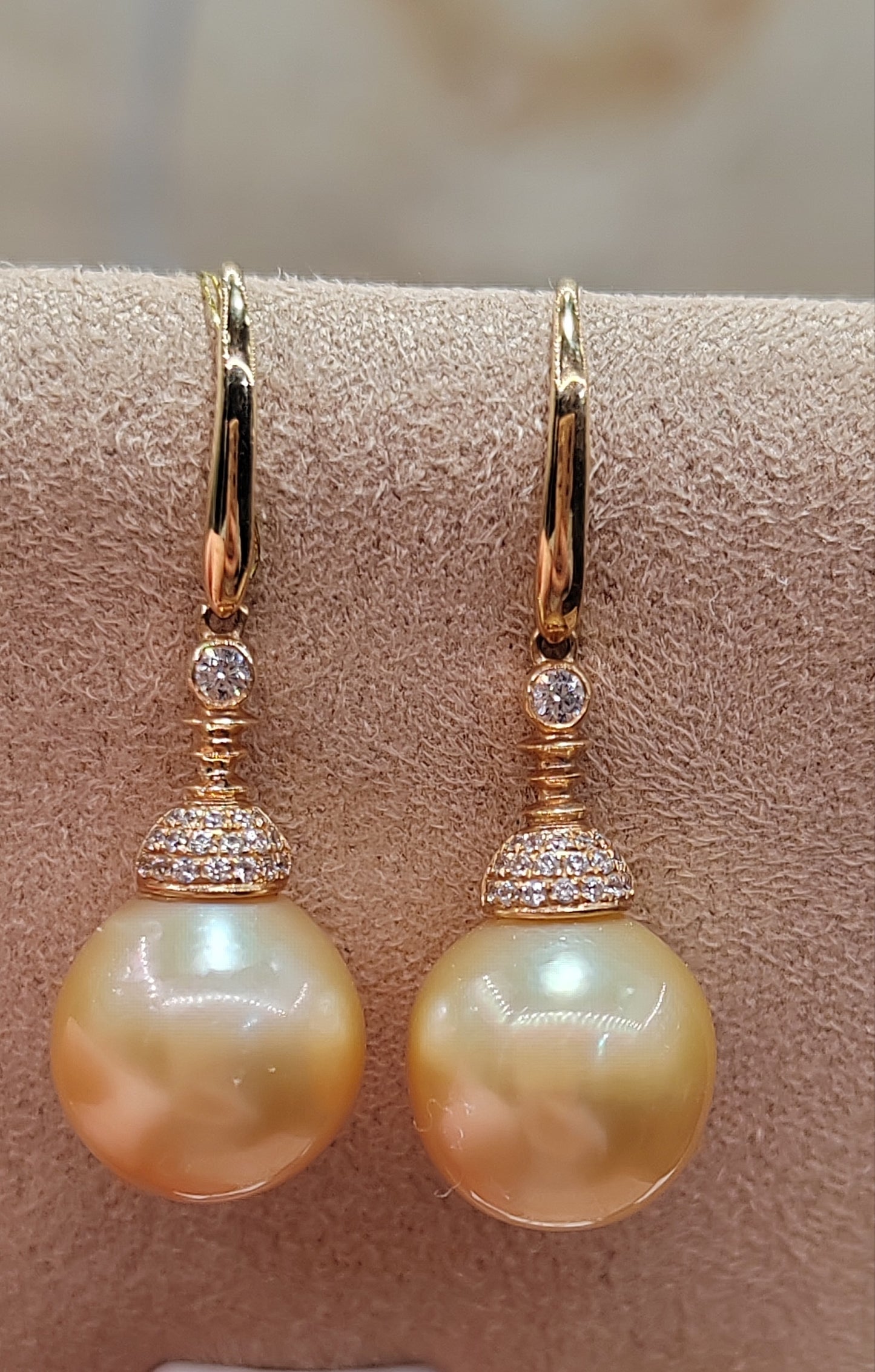 14K gold 10.1mm genuine south sea golden pearls earrings