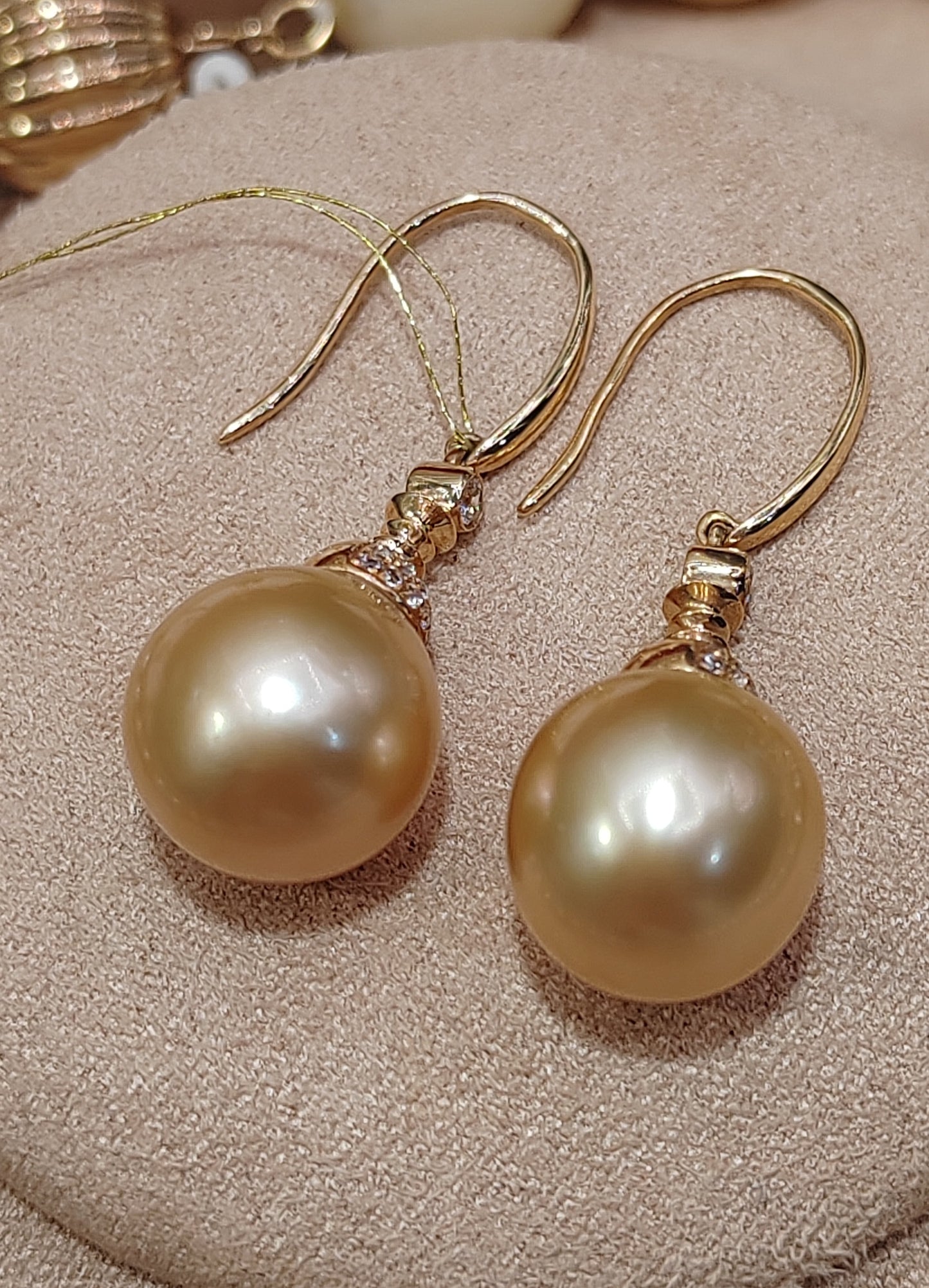 14K gold 10.1mm genuine south sea golden pearls earrings