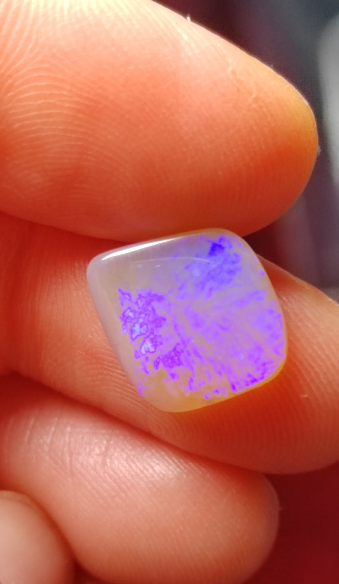 'Forget-me-not' 2.95ct Solid Australian rare Leaf Fossil opal 14x12x3mm