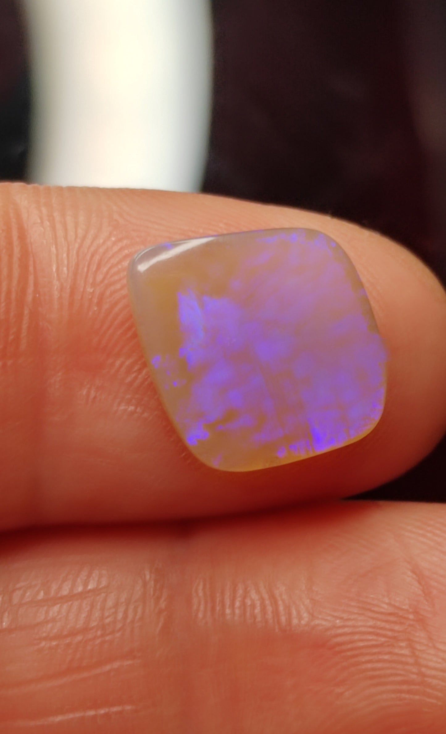 'Forget-me-not' 2.95ct Solid Australian rare Leaf Fossil opal 14x12x3mm