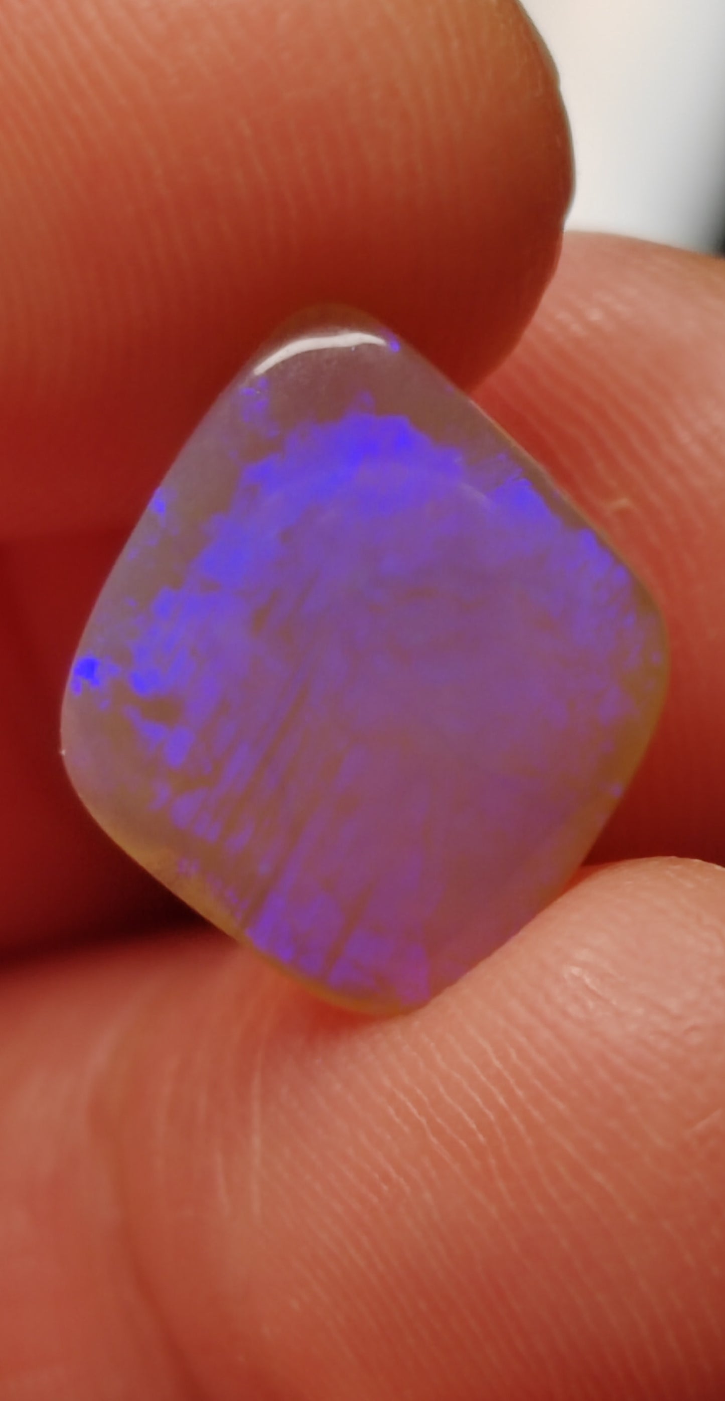 'Forget-me-not' 2.95ct Solid Australian rare Leaf Fossil opal 14x12x3mm