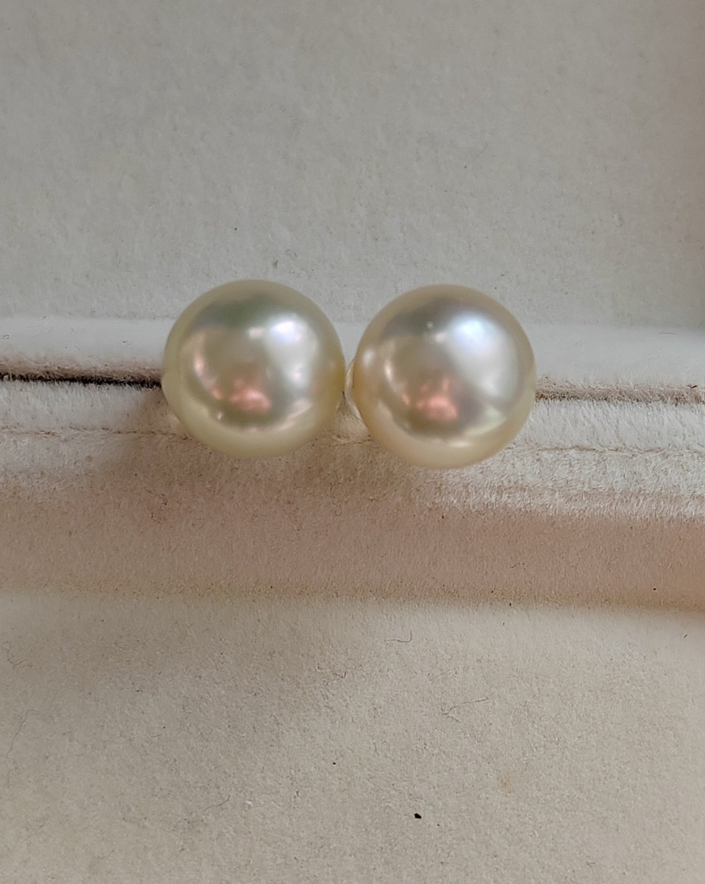 11.3mm Genuine south sea pearls classic earrings studs 18ct gold