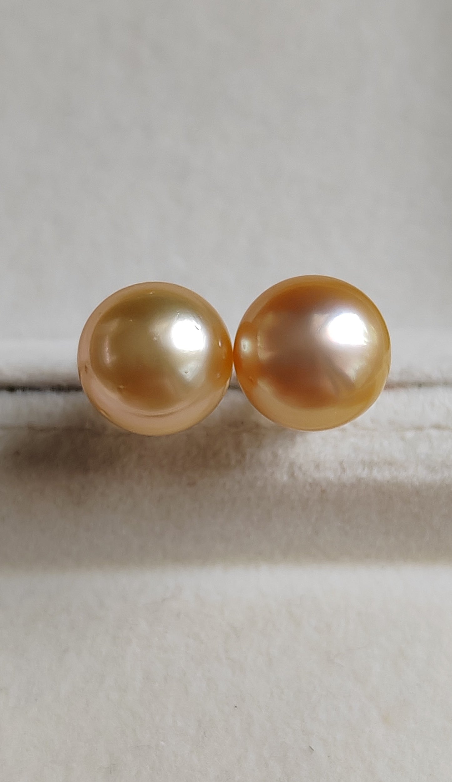 18ct gold earrings studs genuine golden south sea pearls 11mm Clearance