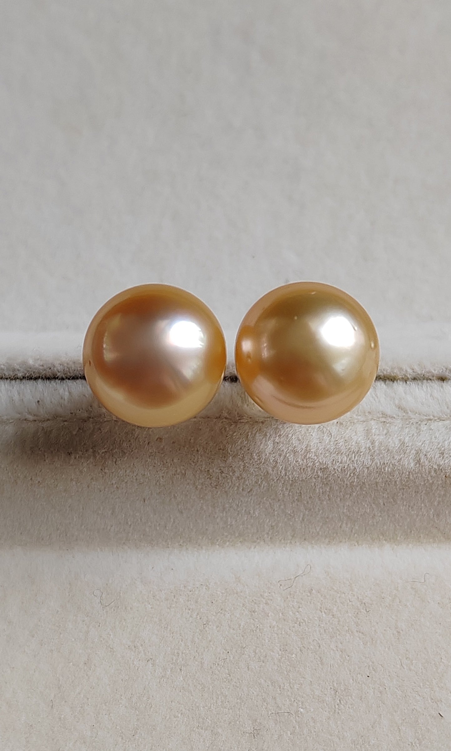 18ct gold earrings studs genuine golden south sea pearls 11mm Clearance