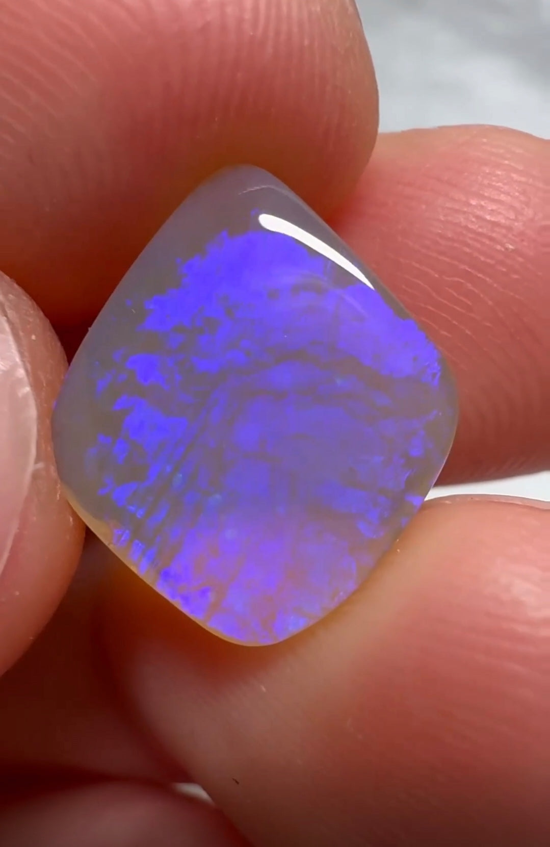 'Forget-me-not' 2.95ct Solid Australian rare Leaf Fossil opal 14x12x3mm