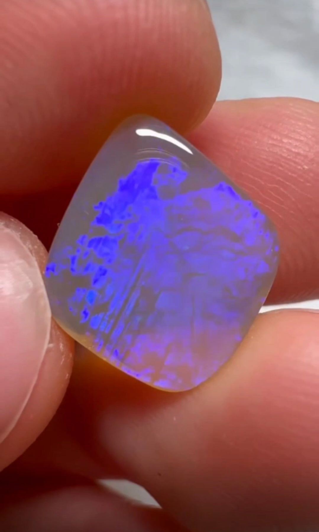 'Forget-me-not' 2.95ct Solid Australian rare Leaf Fossil opal 14x12x3mm