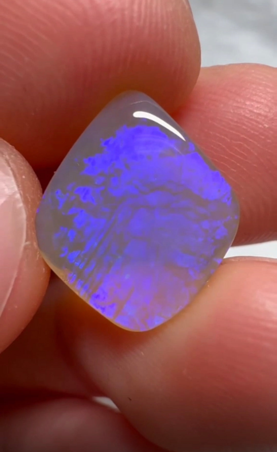 'Forget-me-not' 2.95ct Solid Australian rare Leaf Fossil opal 14x12x3mm