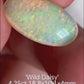 'Wild Daisy' Natural Solid Australian Crystal opal 4.35ct