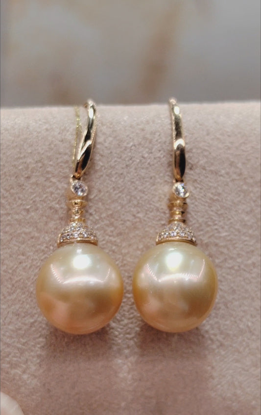 14K gold 10.1mm genuine south sea golden pearls earrings