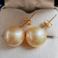 10k gold Essential earrings studs genuine golden south sea pearls 10.2mm