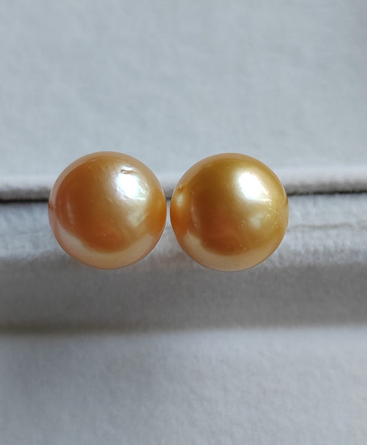 14k gold essential earrings genuine golden south sea pearls 11.5mm