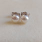 5.5-6mm Genuine freshwater pearls Essential earrings studs
