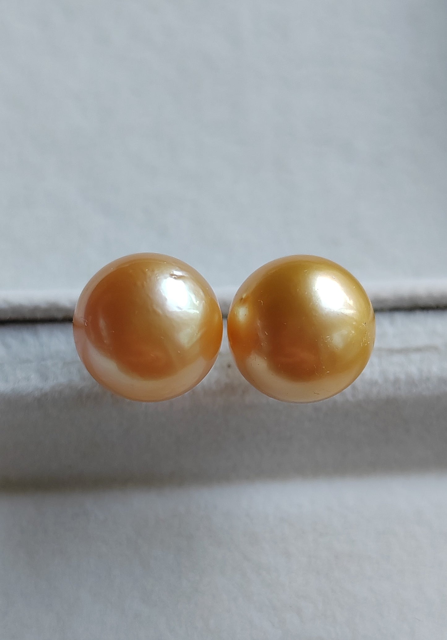 14k gold essential earrings genuine golden south sea pearls 11.5mm