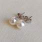 6-6.5mm Genuine Akoya pearls Essential earrings studs