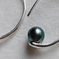 8.1mm Genuine tahitian south sea pearls classic hooms earrings