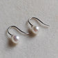 6.3mm Genuine Japanese akoya pearls French hooks earrings