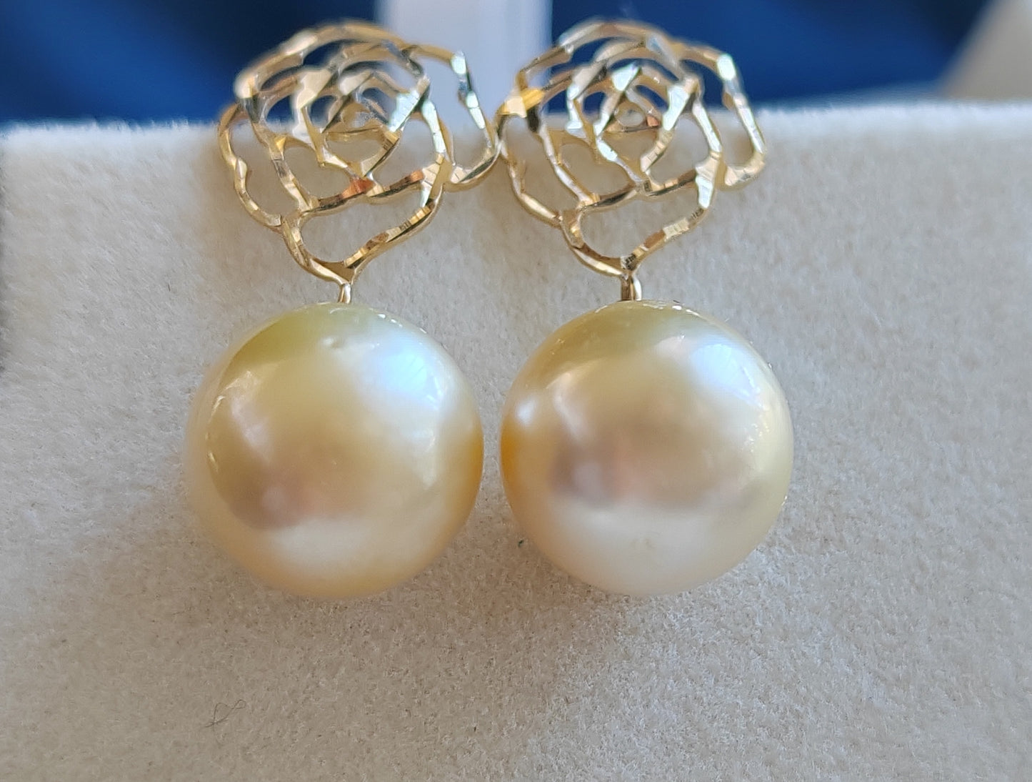 'Camellia' earrings 10k gold genuine golden south sea pearl 10.4mm Round