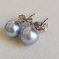 6-6.5mm Genuine silver Akoya pearls Essential earrings studs