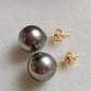 10.3mm Genuine tahitian south sea pearls classic earrings studs 14ct gold