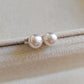 5.5-6mm Genuine freshwater pearls Essential earrings studs