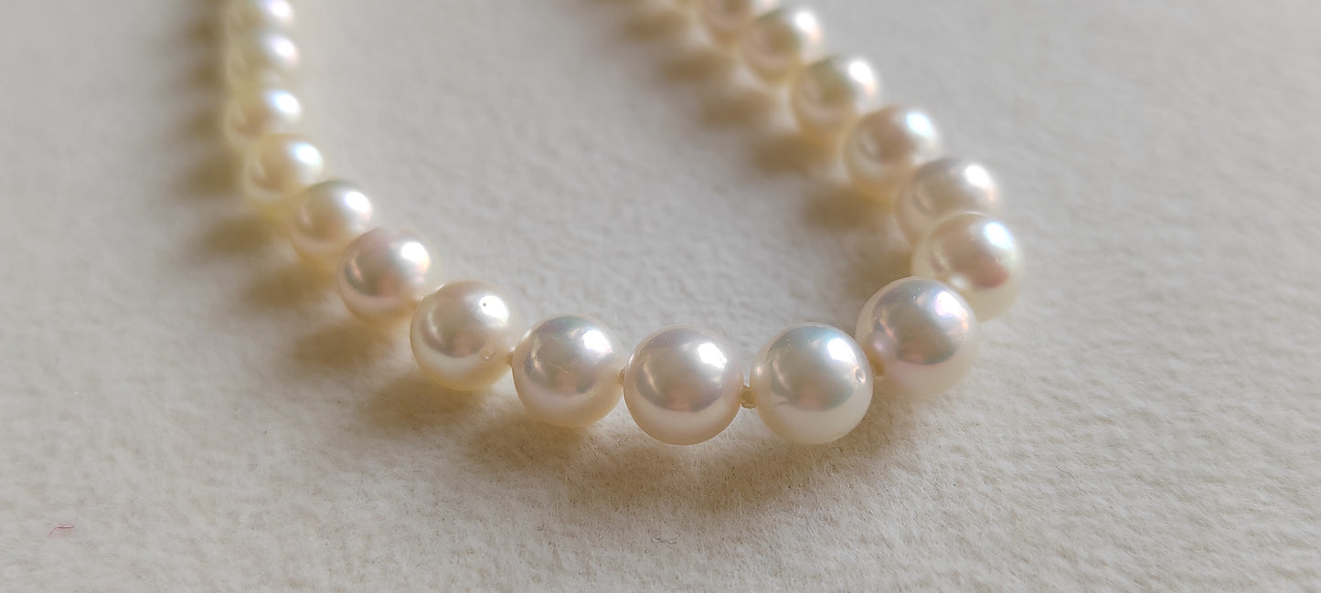 5.1-6.5mm Genuine Japanese akoya pearls classic necklace