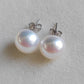 11-11.3mm Genuine freshwater pearl classic earrings studs