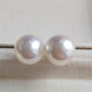 12.9mm Genuine Australian south sea white pearl classic earring studs