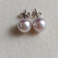 8mm Genuine Akoya pearls Essential earrings studs