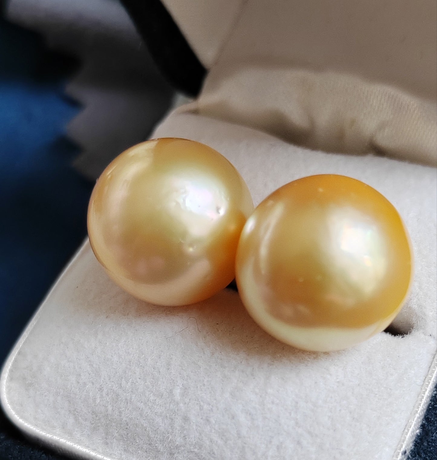 18k gold essential earrings studs genuine golden south sea pearls 12.8mm
