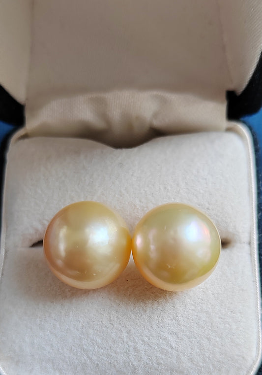 10k gold Essential earrings studs genuine golden south sea pearls 10.2mm