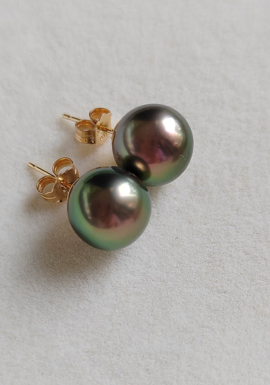 'Vivid Peacock' 14k gold every day earrings studs genuine tahitian south sea pearls 10.2mm