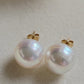 12.9mm Genuine Australian south sea white pearl classic earring studs