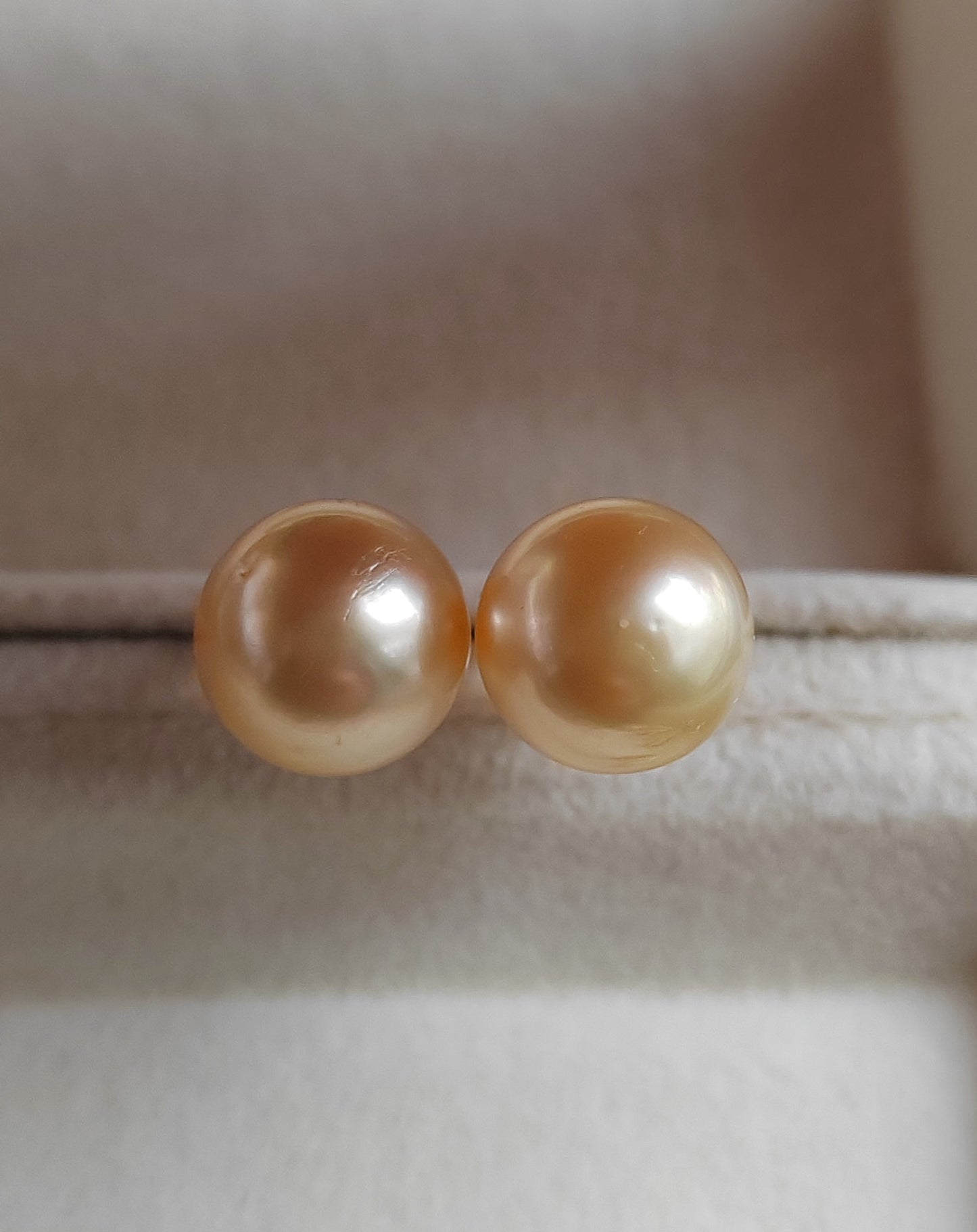 10mm Genuine golden south sea pearls Essential earrings studs 14k gold