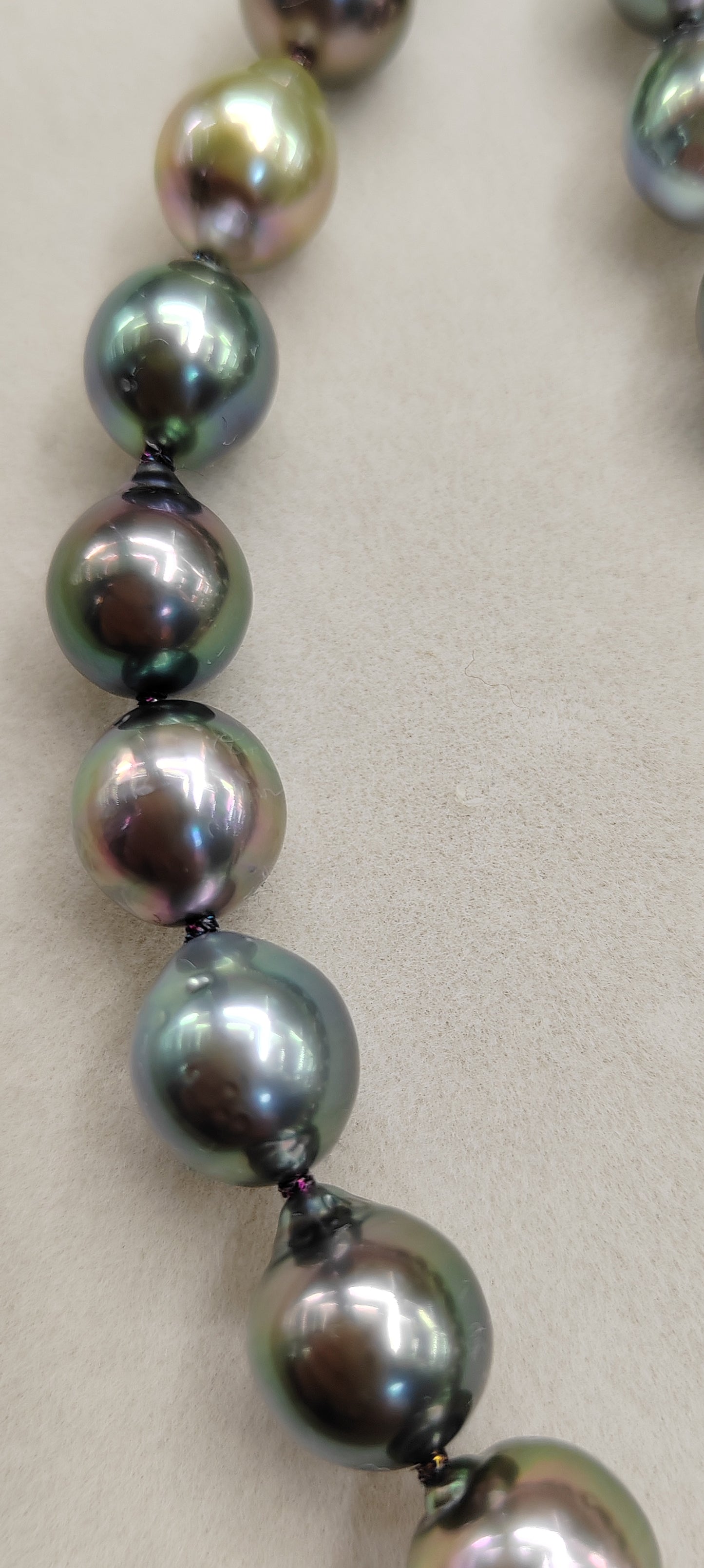 Rare release Rikitea Tahitian sea pearl necklace 9-10.8mm