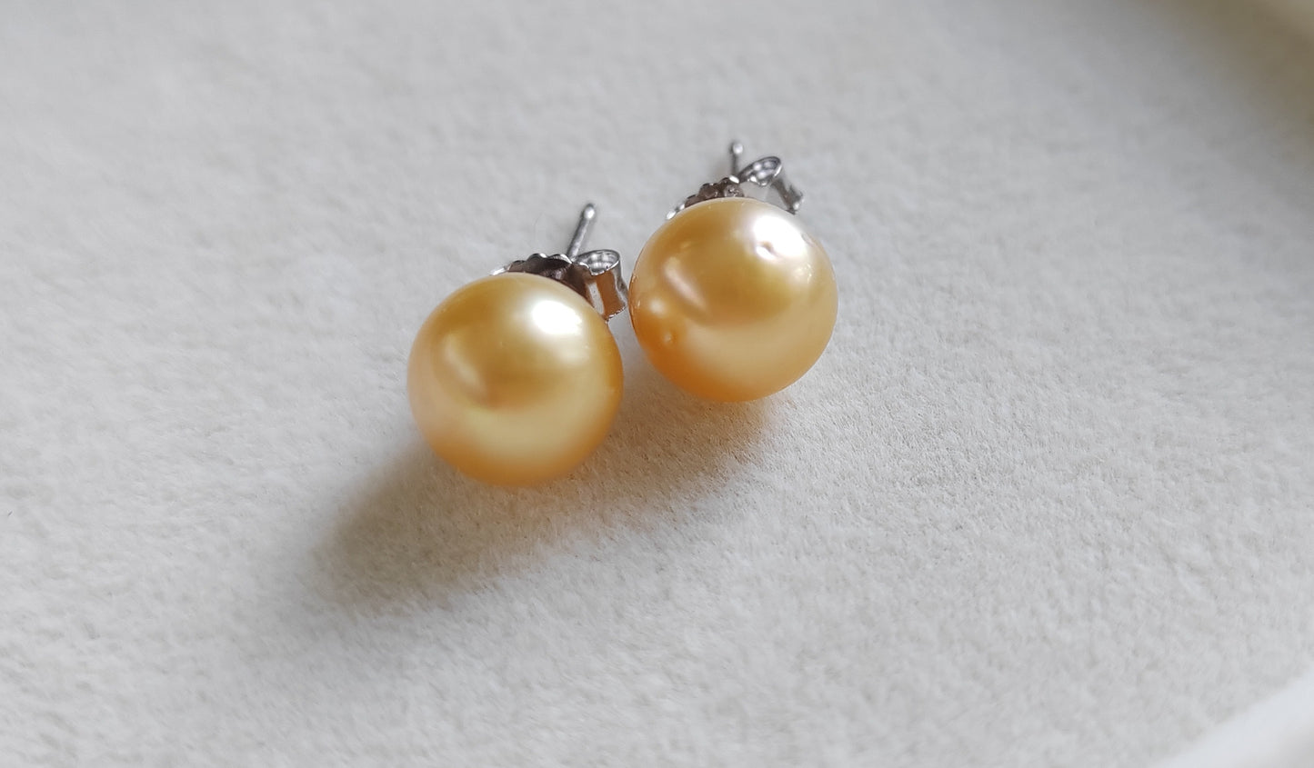 8.8mm Genuine golden south sea pearls Essential earrings studs