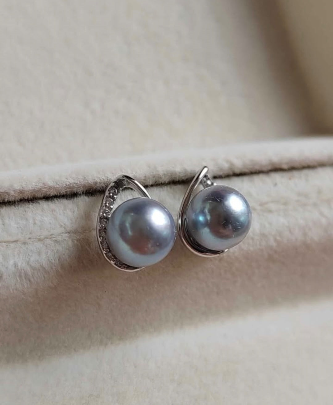 6.1mm Genuine Japanese akoya pearls classic earrings silver