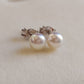 5.5-6mm Genuine freshwater pearls Essential earrings studs