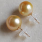 18k gold essential earrings studs genuine golden south sea pearls 12.8mm