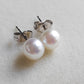 6-6.5mm Genuine Akoya Saltwater pearls every day earrings studs