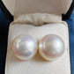 12.9mm Genuine Australian south sea white pearl classic earring studs