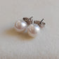 6.5mm Genuine freshwater round pearl Essential earrings studs