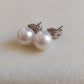 6.5mm Genuine freshwater round pearl Essential earrings studs
