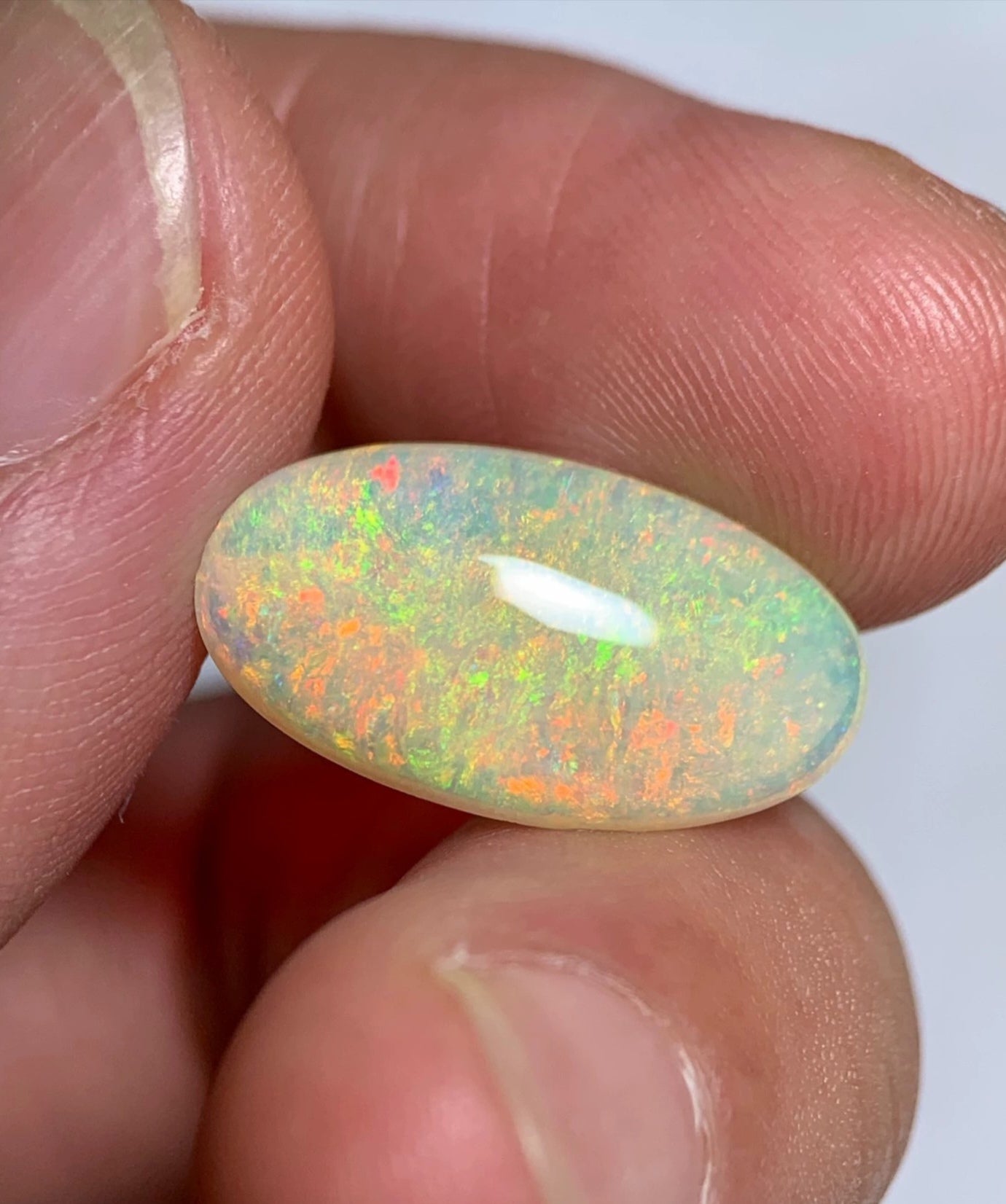 'Wild Daisy' Natural Solid Australian Crystal opal 4.35ct
