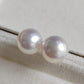 12.9mm Genuine Australian south sea white pearl classic earring studs