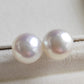 12.9mm Genuine Australian south sea white pearl classic earring studs