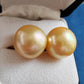 18k gold essential earrings studs genuine golden south sea pearls 12.8mm