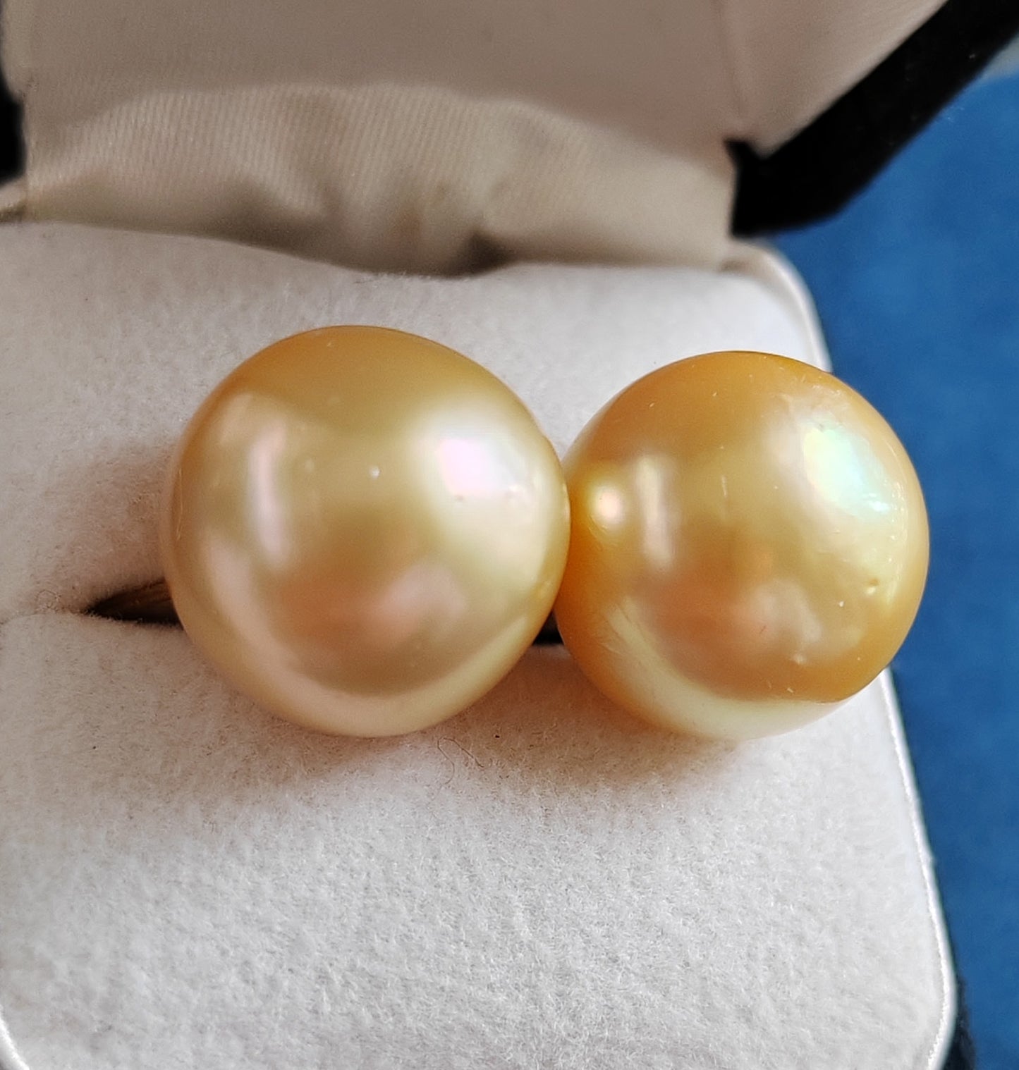 18k gold essential earrings studs genuine golden south sea pearls 12.8mm