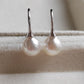 6.3mm Genuine Japanese akoya pearls French hooks earrings